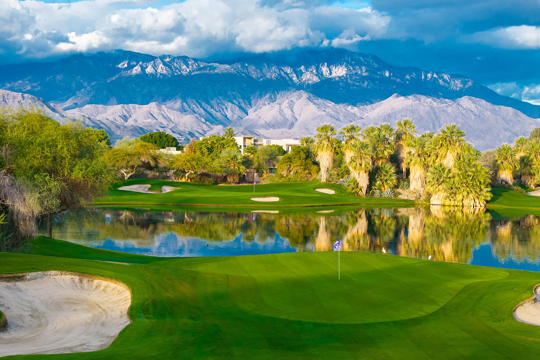 opt_6863abf4c661a_SOCAL-PALM-SPRINGS-DESERT-WILLOW