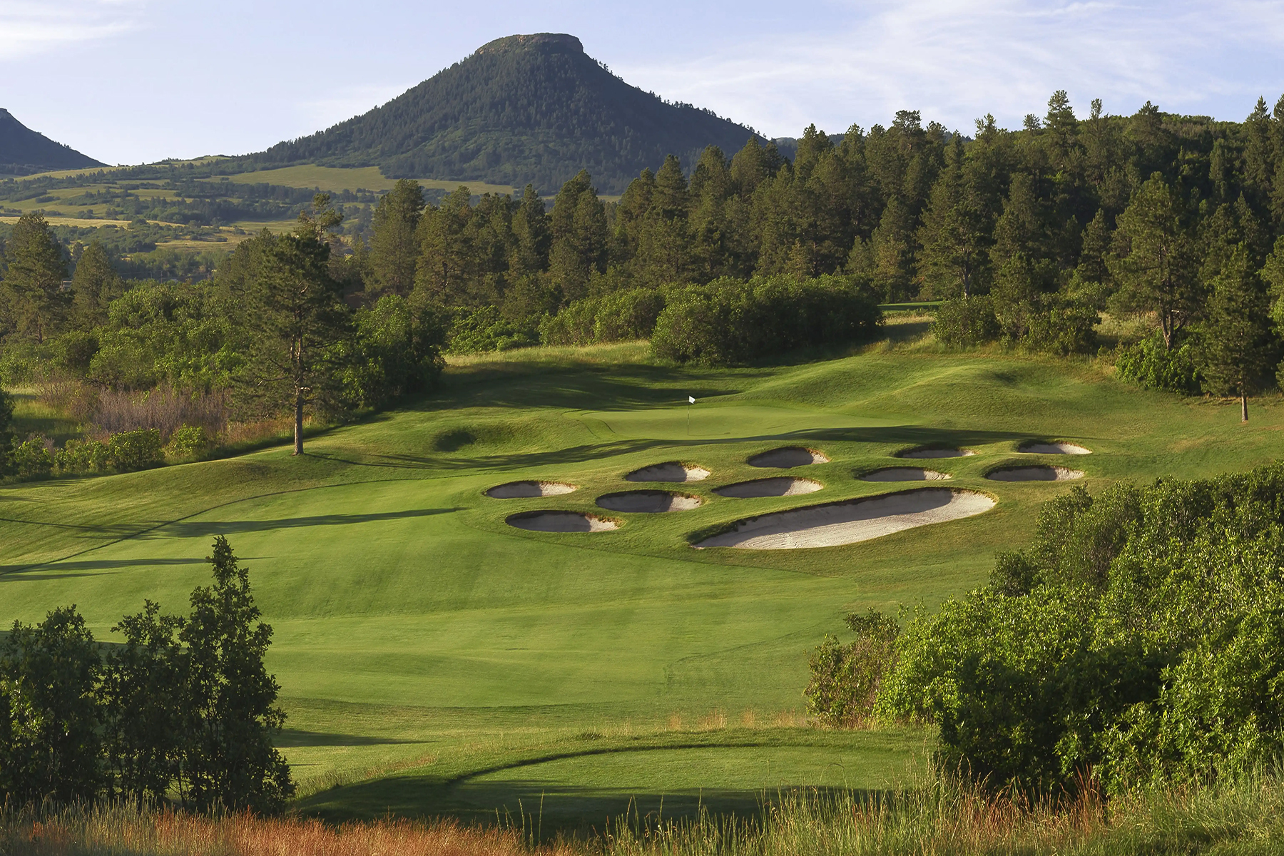 opt_6863b133eb6f9_COLORADO-DENVER-BEAR-DANCE