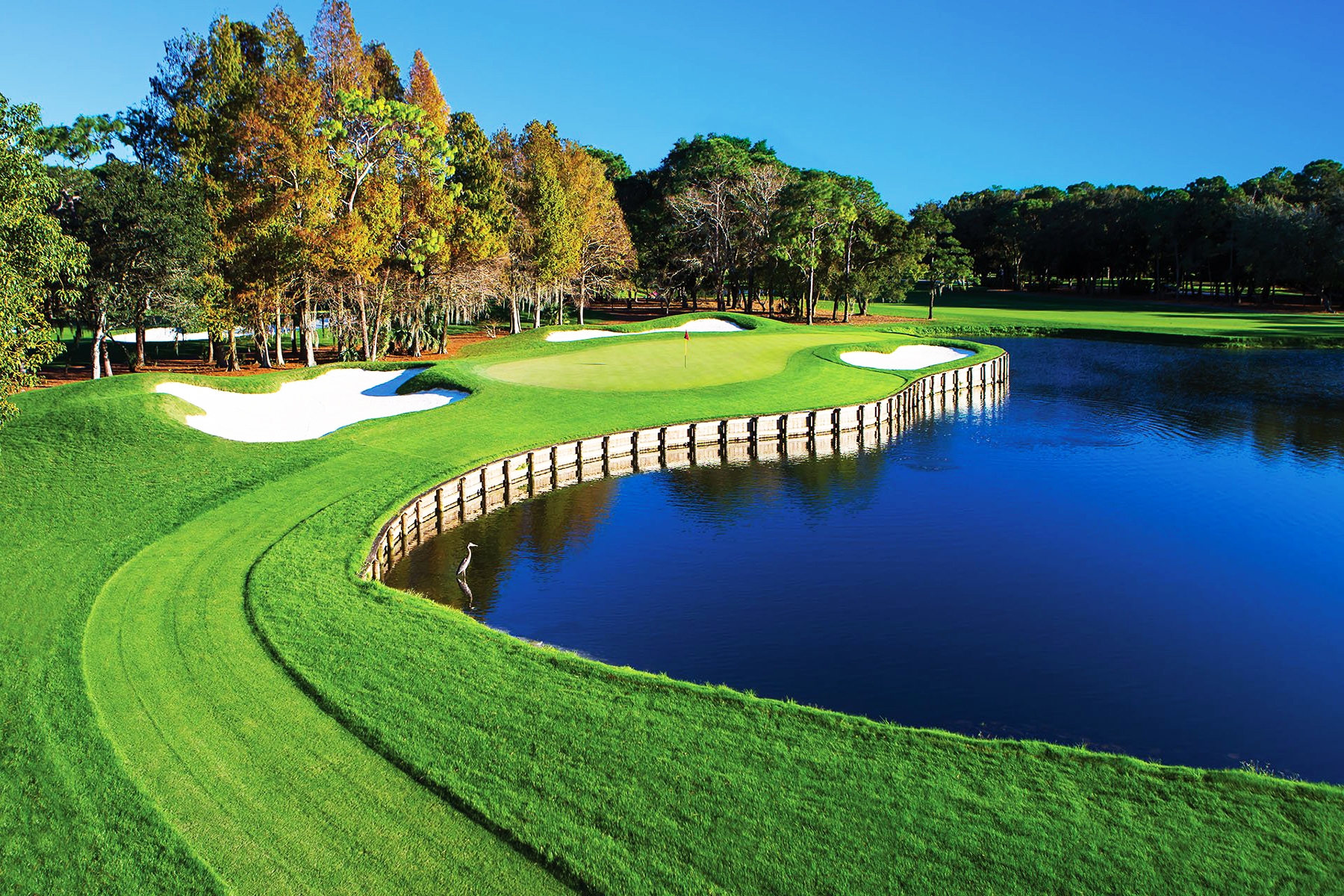 opt_6863b4ecac75e_TAMPA-INNISBROOK