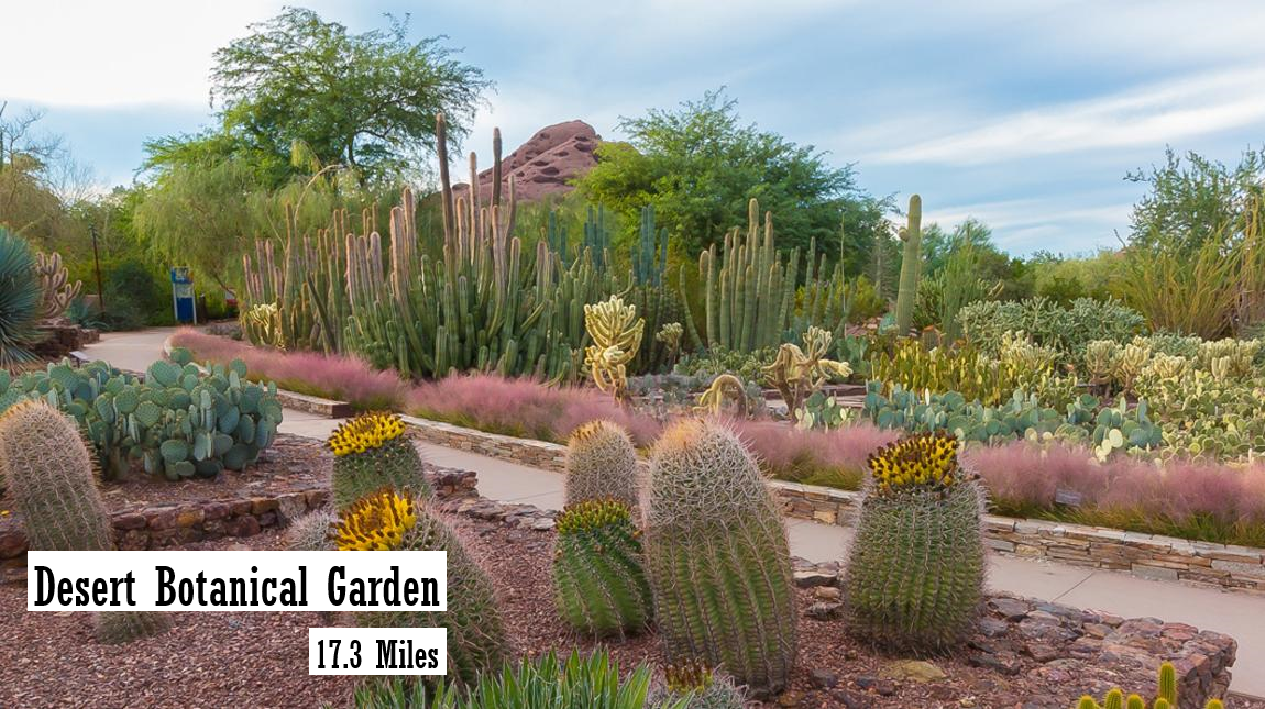 The Modern Scottsdale Condos - Image 5