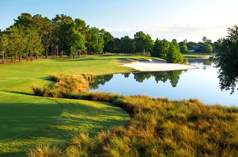 King and Bear Course