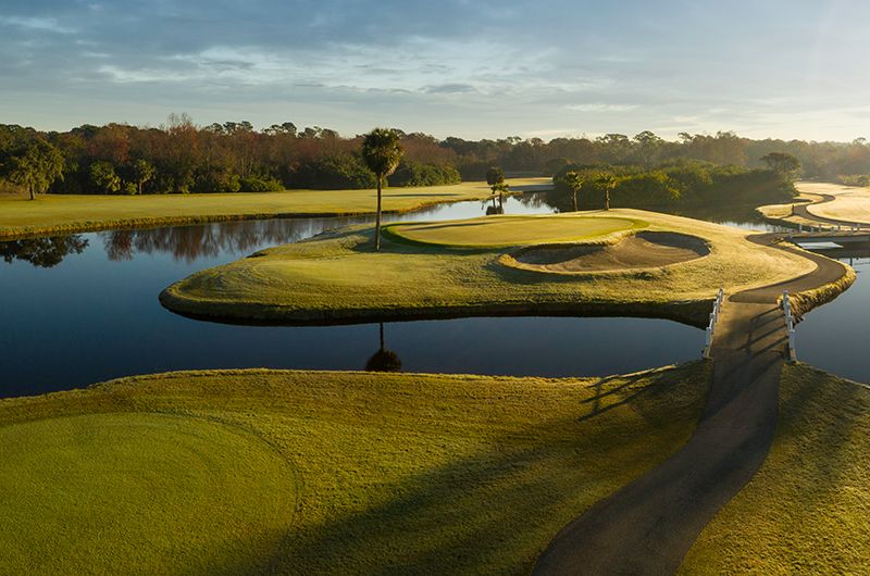 Innisbrook Golf Club - Island Course "Full Swing"
