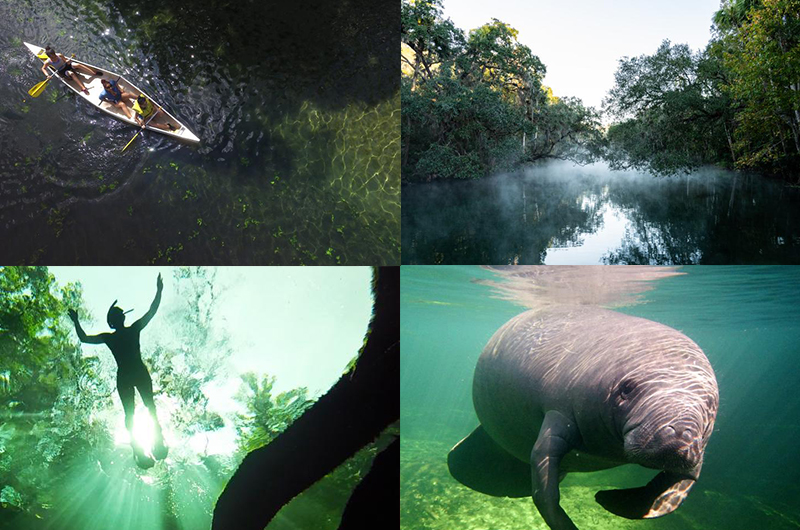 Thing to Do Image of EcoTourism