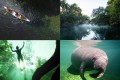 EcoTourism