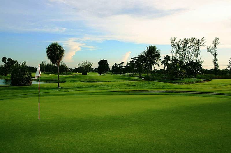 Play The Senator Course at Shulas Golf Club
