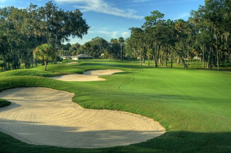 Play at the Palm Harbor Golf Club